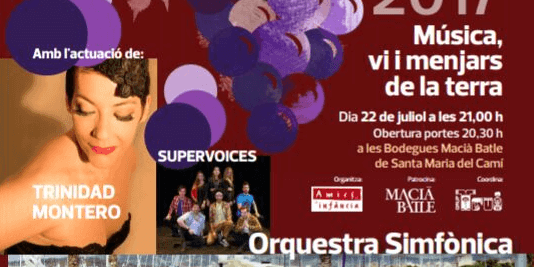 concert-lluna